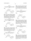 HETEROCYCLIC HYDRAZONE COMPOUNDS diagram and image