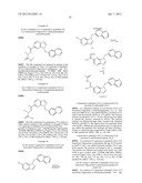 HETEROCYCLIC HYDRAZONE COMPOUNDS diagram and image