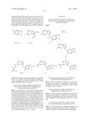 HETEROCYCLIC HYDRAZONE COMPOUNDS diagram and image