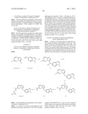 HETEROCYCLIC HYDRAZONE COMPOUNDS diagram and image