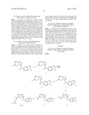 HETEROCYCLIC HYDRAZONE COMPOUNDS diagram and image