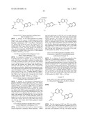 HETEROCYCLIC HYDRAZONE COMPOUNDS diagram and image