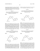 HETEROCYCLIC HYDRAZONE COMPOUNDS diagram and image