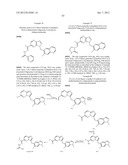 HETEROCYCLIC HYDRAZONE COMPOUNDS diagram and image