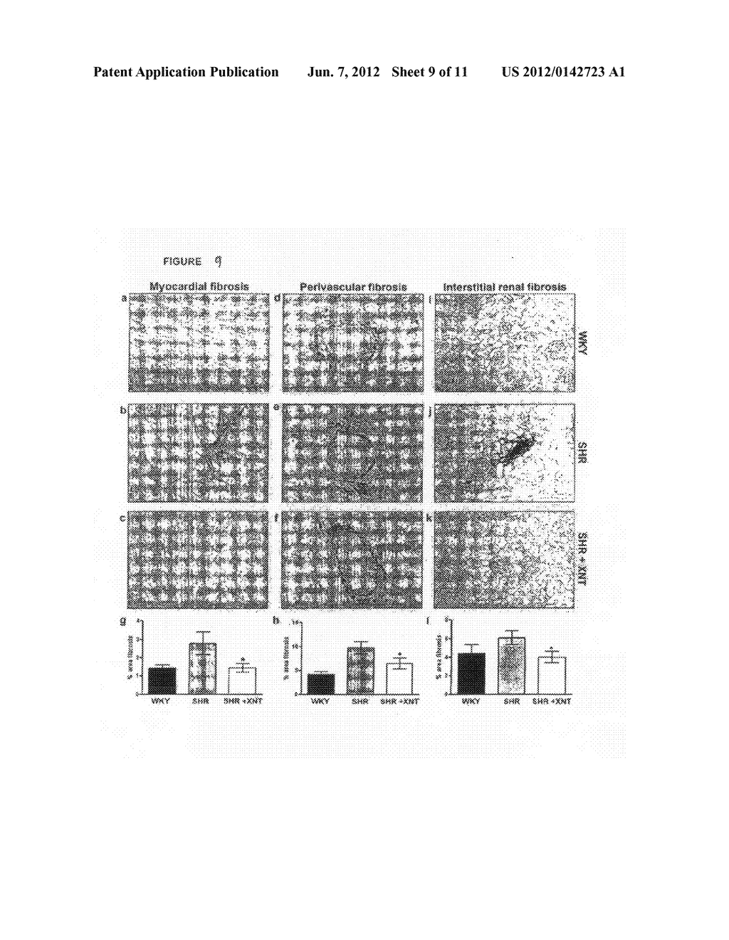 ACE2 ACTIVATOR COMPOUNDS AND METHODS OF USE THEREOF - diagram, schematic, and image 10