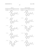 NITROGENOUS-RING ACYLGUANIDINE DERIVATIVE diagram and image