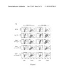 INDOLEAMINE 2,3-DIOXYGENASE PATHWAYS IN THE GENERATION OF REGULATORY T     CELLS diagram and image