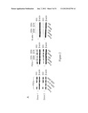 INDOLEAMINE 2,3-DIOXYGENASE PATHWAYS IN THE GENERATION OF REGULATORY T     CELLS diagram and image