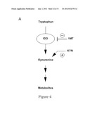 INDOLEAMINE 2,3-DIOXYGENASE PATHWAYS IN THE GENERATION OF REGULATORY T     CELLS diagram and image