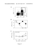 INDOLEAMINE 2,3-DIOXYGENASE PATHWAYS IN THE GENERATION OF REGULATORY T     CELLS diagram and image