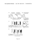 INDOLEAMINE 2,3-DIOXYGENASE PATHWAYS IN THE GENERATION OF REGULATORY T     CELLS diagram and image
