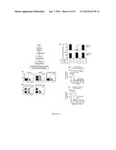 INDOLEAMINE 2,3-DIOXYGENASE PATHWAYS IN THE GENERATION OF REGULATORY T     CELLS diagram and image