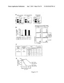 INDOLEAMINE 2,3-DIOXYGENASE PATHWAYS IN THE GENERATION OF REGULATORY T     CELLS diagram and image