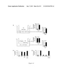 INDOLEAMINE 2,3-DIOXYGENASE PATHWAYS IN THE GENERATION OF REGULATORY T     CELLS diagram and image