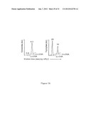 INDOLEAMINE 2,3-DIOXYGENASE PATHWAYS IN THE GENERATION OF REGULATORY T     CELLS diagram and image