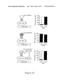 INDOLEAMINE 2,3-DIOXYGENASE PATHWAYS IN THE GENERATION OF REGULATORY T     CELLS diagram and image