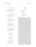 INDOLEAMINE 2,3-DIOXYGENASE PATHWAYS IN THE GENERATION OF REGULATORY T     CELLS diagram and image