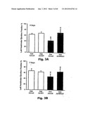 Method for Preventing and Treating Cardiovascular Diseases with BRCA1 diagram and image