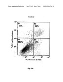 Method for Preventing and Treating Cardiovascular Diseases with BRCA1 diagram and image