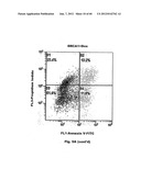 Method for Preventing and Treating Cardiovascular Diseases with BRCA1 diagram and image