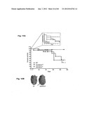 Method for Preventing and Treating Cardiovascular Diseases with BRCA1 diagram and image