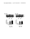 Method for Preventing and Treating Cardiovascular Diseases with BRCA1 diagram and image