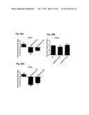 Method for Preventing and Treating Cardiovascular Diseases with BRCA1 diagram and image