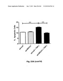 Method for Preventing and Treating Cardiovascular Diseases with BRCA1 diagram and image