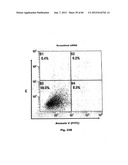 Method for Preventing and Treating Cardiovascular Diseases with BRCA1 diagram and image