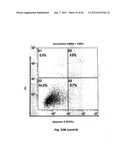 Method for Preventing and Treating Cardiovascular Diseases with BRCA1 diagram and image