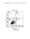 Method for Preventing and Treating Cardiovascular Diseases with BRCA1 diagram and image