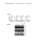 Method for Preventing and Treating Cardiovascular Diseases with BRCA1 diagram and image