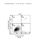 Method for Preventing and Treating Cardiovascular Diseases with BRCA1 diagram and image