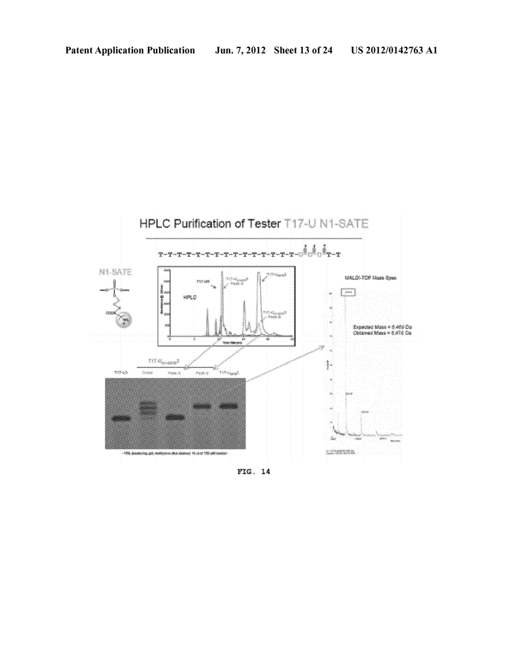 NUCLEIC ACID DELIVERY COMPOSITIONS AND METHODS OF USE THEREOF - diagram, schematic, and image 14