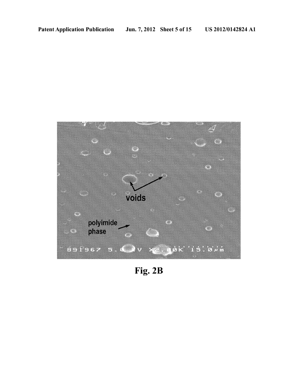 POLYMER BLEND COMPOSITIONS - diagram, schematic, and image 06