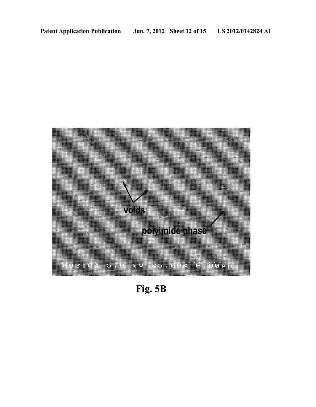 POLYMER BLEND COMPOSITIONS - diagram, schematic, and image 13