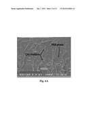 POLYMER BLEND COMPOSITIONS diagram and image