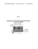 Biosynthetic Polypeptide Fusion Inhibitors diagram and image