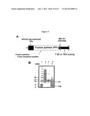 Biosynthetic Polypeptide Fusion Inhibitors diagram and image