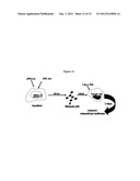 Biosynthetic Polypeptide Fusion Inhibitors diagram and image