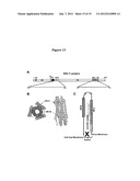 Biosynthetic Polypeptide Fusion Inhibitors diagram and image