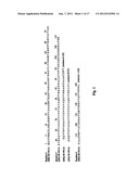 Prevention and Treatment of Synucleinopathic and Amyloidogenic Disease diagram and image