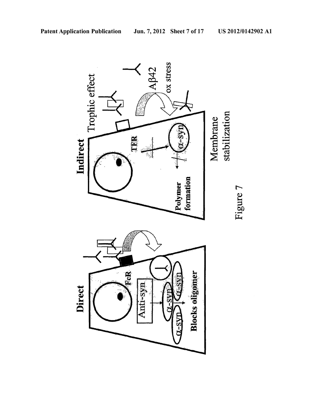 Prevention and Treatment of Synucleinopathic and Amyloidogenic Disease - diagram, schematic, and image 08