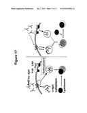 Prevention and Treatment of Synucleinopathic and Amyloidogenic Disease diagram and image