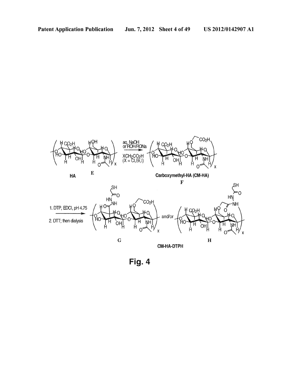 MODIFIED MACROMOLECULES AND ASSOCIATED METHODS OF SYNTHESIS AND USE - diagram, schematic, and image 05