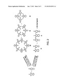 POLYCYCLIC COMPOUNDS, TERMED CALIXURENES, AND USES THEREOF diagram and image