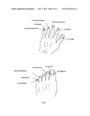 DEVICE FOR REFLEX CORRECTION OF FUNCTIONAL DISORDERS OF THE ORGANISM diagram and image