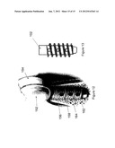 SCREW diagram and image