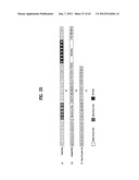 DIGITAL BROADCASTING SYSTEM AND METHOD OF PROCESSING DATA IN THE DIGITAL     BROADCASTING SYSTEM diagram and image