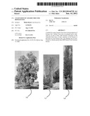 CULTIVATION OF TAMARIX TREE FOR BIOMASS FUEL diagram and image